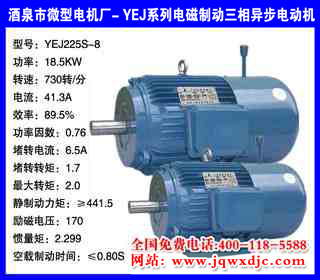 18.5KW �˼� YEJϵ�е���ƶ�����綯�� YEJ225S-8